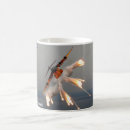 Search for c 17 mugs Transport