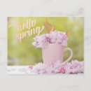 Search for spring flower postcards Photography