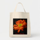 Search for gerberas accessories Petals