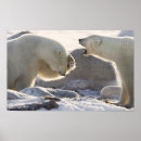 Search for manitoba posters Winter