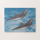 Search for dolphin puzzles Abstract