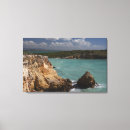 Search for coastline canvas prints Island
