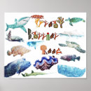 Search for great barrier reef posters Australia