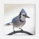 Search for blues man magnets Green