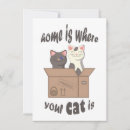 Search for kitty note cards Kitten