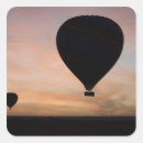 Search for aerial stickers Black