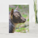 Search for baby goat birthday cards Farm
