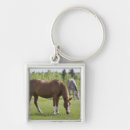 Search for grazing key rings Rural scene