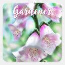 Search for cottage garden stickers Pink