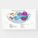 Search for zoology posters Zoologist