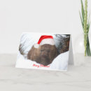 Search for down under christmas cards Australia
