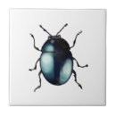 Search for bugs tiles Nature