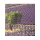 Search for field notepads Lavender