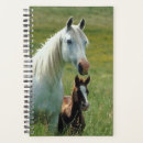 Search for maree photography Animal