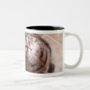 Search for look up mugs Cute