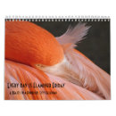 Search for flamingo calendars Pink