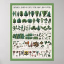 Search for plants office supplies Botany