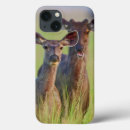 Search for asia tablet cases animal