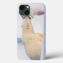 Search for two animals ipad cases Bear