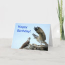Search for osprey bird cards Hawk