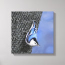 Search for breast art White