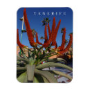 Search for tenerife magnets Spain