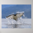 Search for vancouver island posters Ocean