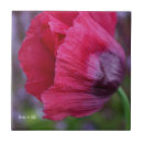 Search for poppy tiles Red
