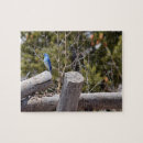 Search for blue jays puzzles Nature