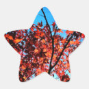 Search for leaves star stickers Orange