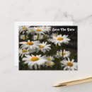 Search for happy birthday daisy flower postcards Floral