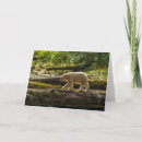 Search for british columbia cards Forest