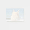 Search for mixed breeds Canine
