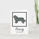 Search for dog bed postcards Dogs