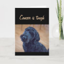 Search for cancer get well cards Chemo