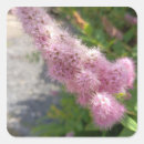 Search for pink floral flower stickers Nature