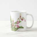 Search for ladys slipper mugs Flowers