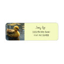 Search for yellow duck return address labels Duckling
