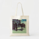 Search for saddle bags Cowboy