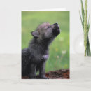 Search for cute wolf cards Cub