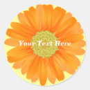 Search for yellow gerbera Birthday