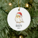 Search for cockatiel christmas tree decorations Pet bird