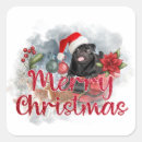 Search for poinsettia flowers stickers Merry