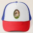 Search for golden retriever hats Animal