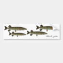Search for pike bumper stickers Fish