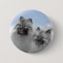 Search for pair badges Black