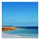 Search for sea life posters Seascape