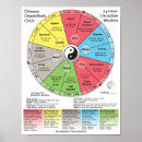 Search for acupuncture posters Acupuncturist