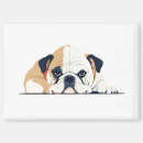 Search for english magnets Pet