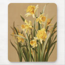 Search for chromolithograph Botanical
